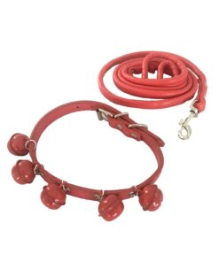 PU Leather Small Dog Cat Collar and Leash with 5 Bells-Red