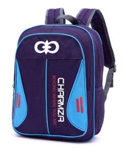 Pursue School Backpack 20L - Navy and Blue