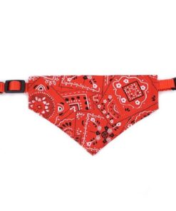 Red Adjustable Dog Bandana Collar - M