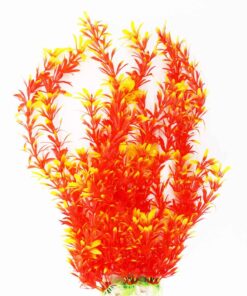 Red And Yellow Fish Tank Plant - 30cm High
