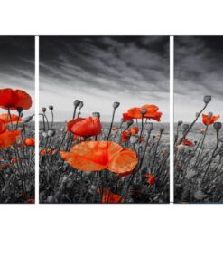 Red, Black Lily Flower Cotton Canvas cm Botanical Wall Art