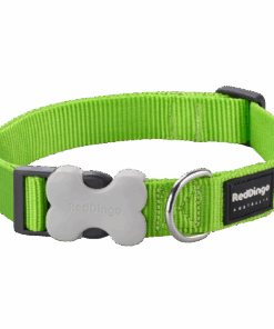 Red Dingo Classic Collar L - Red L - Lime Green