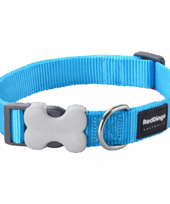 Red Dingo Classic Collar M - Red M - Turquoise