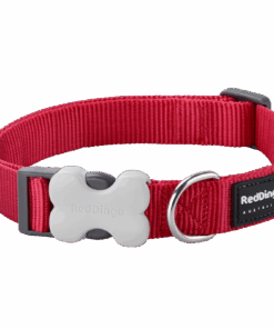 Red Dingo Classic Collar S - Red S - Red
