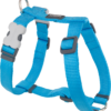 Red Dingo Classic Harness - Turquoise - Blue - M