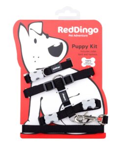 Red Dingo - Classic Puppy Starter Kit - Black