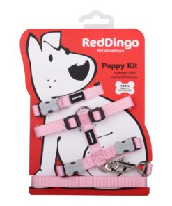 Red Dingo - Classic Puppy Starter Kit - Pink