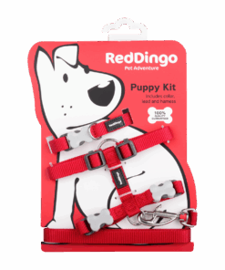 Red Dingo - Classic Puppy Starter Kit - Red