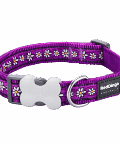 Red Dingo Design Collar - Daisy Chain Purple - Purple XS - L