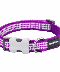 Red Dingo Design Collar - Fang it Purple - M