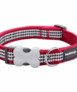 Red Dingo Design Collar - Fang It Red - L