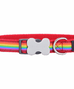 Red Dingo Design Collar - Rainbow - XL