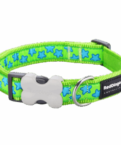 Red Dingo Design Collar - Stars Turquoise on Lime Green - Green XS - XS