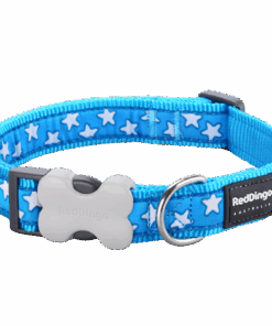 Red Dingo Design Collar - Stars White on Turquoise - Blue XS - L