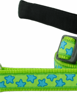 Red Dingo Design Lead - Stars Turquoise on Lime Green - Lime Green L - M