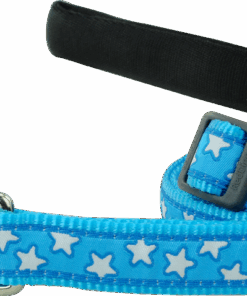 Red Dingo Design Lead - Stars White on Turquoise - Turquoise L - XS