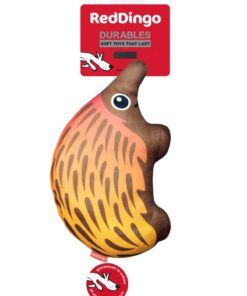 Red Dingo DURABLES - Echidna