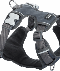 Red Dingo Padded Harness - Extra Large - Red XL