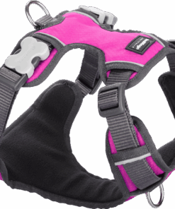 Red Dingo Padded Harness - Extra Large - Red XL - Hot Pink - XL