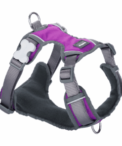 Red Dingo Padded Harness - Extra Large - Red XL - Purple - L