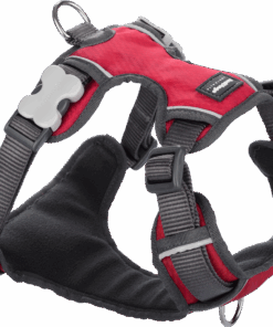 Red Dingo Padded Harness - Extra Small Red