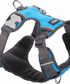 Red Dingo Padded Harness - Large - Red L - Turquoise - L