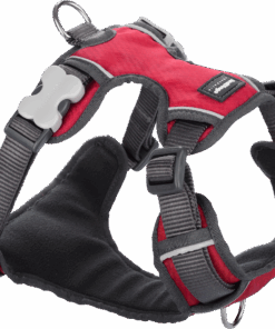 Red Dingo Padded Harness - Medium - Red M - Red