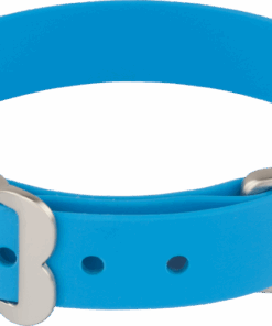 Red Dingo Vivid PVC Dog Collar - XS - Blue