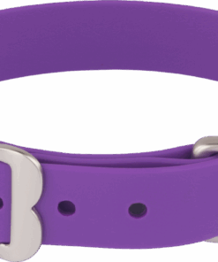 Red Dingo Vivid PVC Dog Collar - XS - Purple