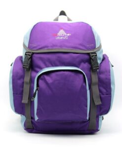 Red Mountain Urban 20L - School Bag/ Backpack - Dark Purple & Grey