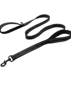 Reflective Dual Handles Dog Leash