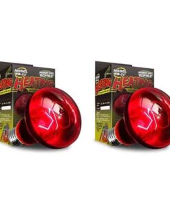 Reptile Infrared Heat Lamp 75W x 2 pc