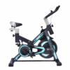 Rockman Premium Indoor Cycling Machine