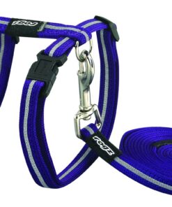 Rogz - 11mm AlleyCat Cat Lead/H-Harness - Purple