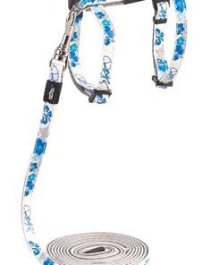 Rogz - 11mm GlowCat Cat Lead/H-Harness - Blue Floral