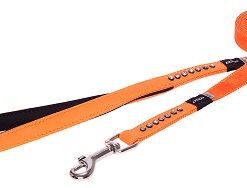 Rogz - 16mm Luna Fixed Long Dog Lead - Orange