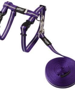 Rogz - 8mm AlleyCat Cat Lead/H-Harness - Purple