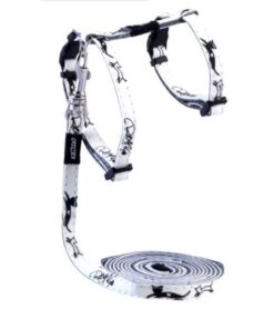 Rogz - 8mm GlowCat Cat Lead/H-Harness - Black Cat