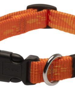 Rogz - Alpinist 16mm Dog Collar - Orange