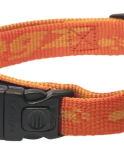 Rogz - Alpinist K2 Dog Collar - Orange
