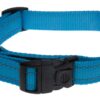 Rogz Dog Collar Classic, Utility, Large 20mm - Turquoise