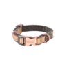 Rogz Dog Urban Classic Collar, Extra Small - Gold Rush