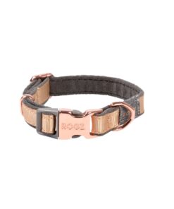 Rogz Dog Urban Classic Collar, Extra Small - Gold Rush