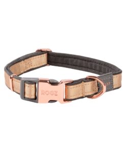Rogz Dog Urban Classic Collar, Medium - Gold Rush
