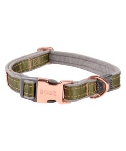 Rogz Dog Urban Classic Collar, Medium - Olive Twist