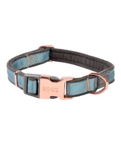 Rogz Dog Urban Classic Collar, Medium - Turquoise Moon