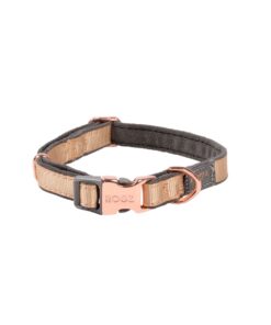 Rogz Dog Urban Classic Collar, Small - Gold Rush