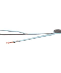 Rogz Dog Urban Classic Lead, Small - Turquoise Moon