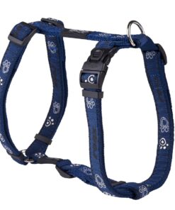 Rogz - Fancy Dress Large 20mm Beach Bum Dog H-Harness - Navy
