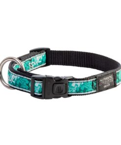 Rogz Fancy Dress Large 20mm Classic Collar - Mint Green